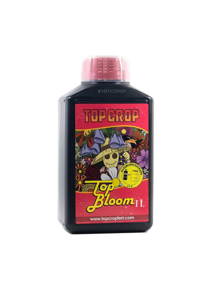 Top Bloom -Top Crop 3