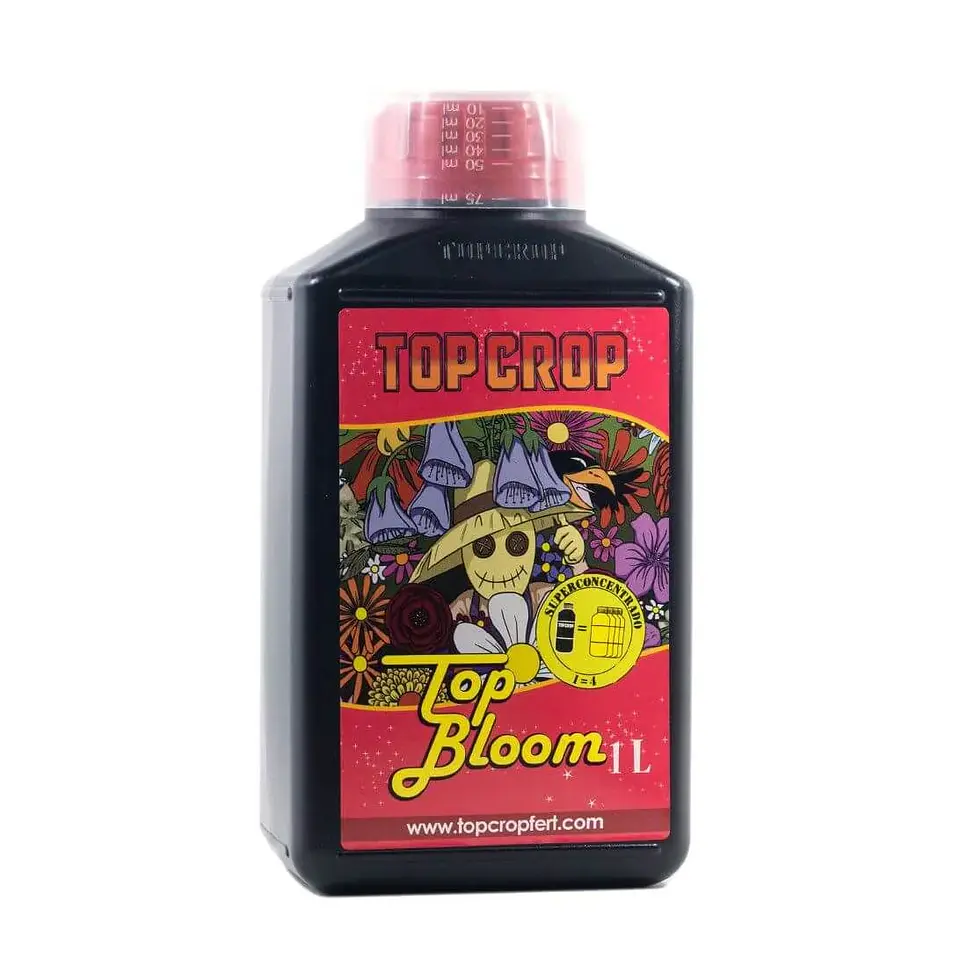 Top Bloom -Top Crop 3