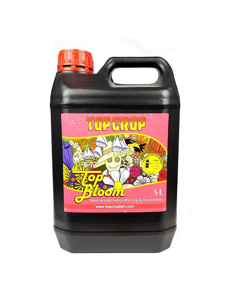 Top Bloom -Top Crop 5