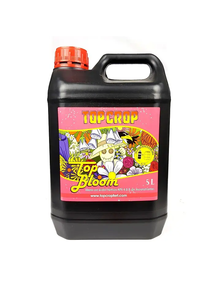 Top Bloom -Top Crop 5