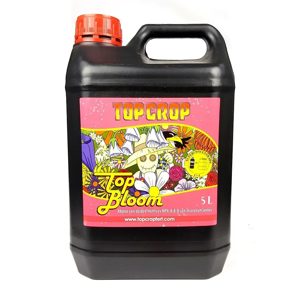 Top Bloom -Top Crop 5