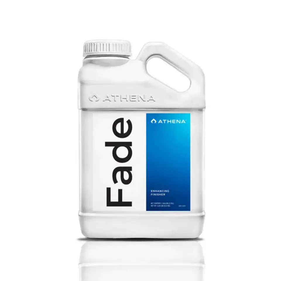 Fade-Athena (1/3.75 LT) 2