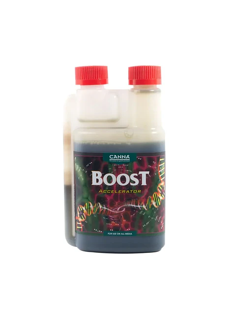 Boost Accelerator -Canna 2