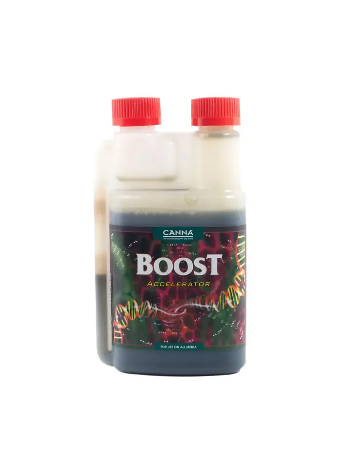 Boost Accelerator -Canna 2