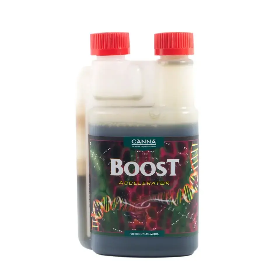 Boost Accelerator -Canna 2