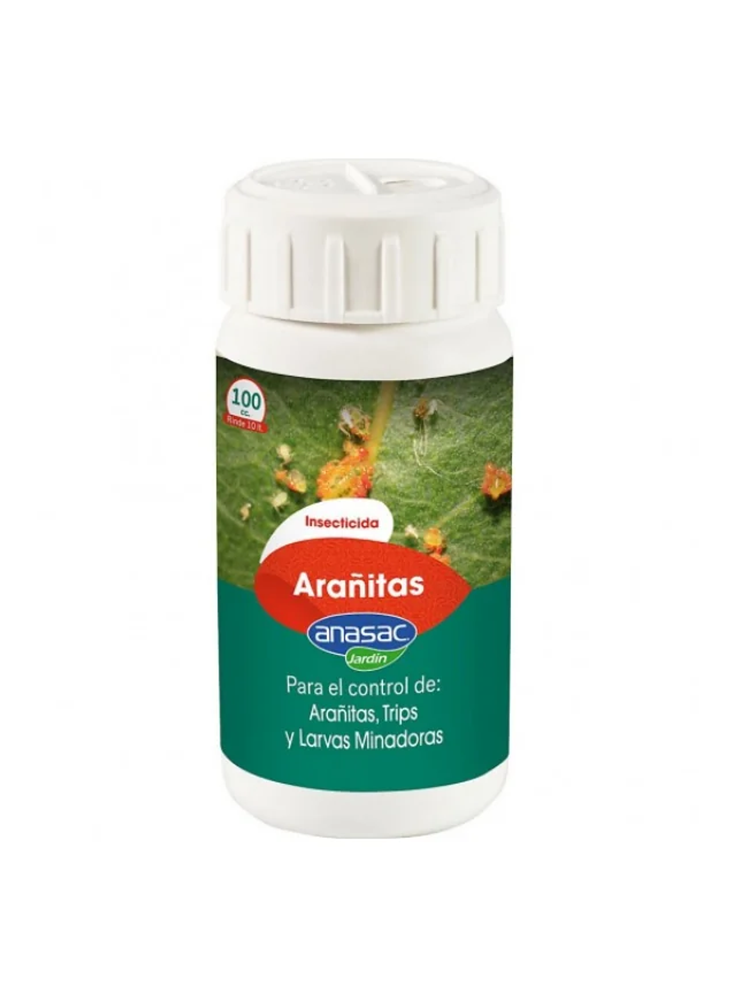 Arañitas Green Line -Anasac 2