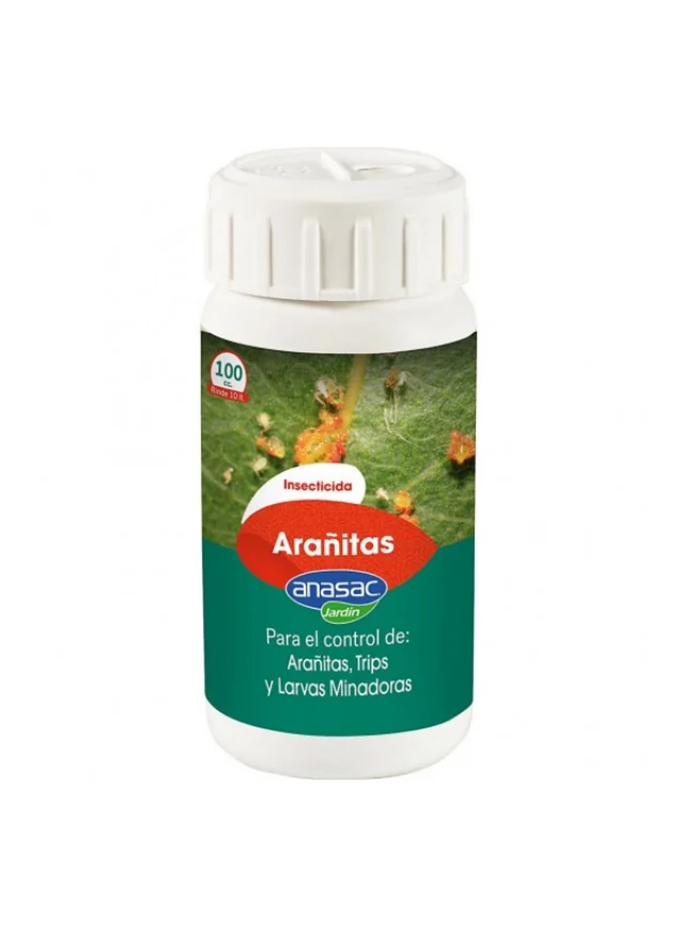 Arañitas Green Line -Anasac 2