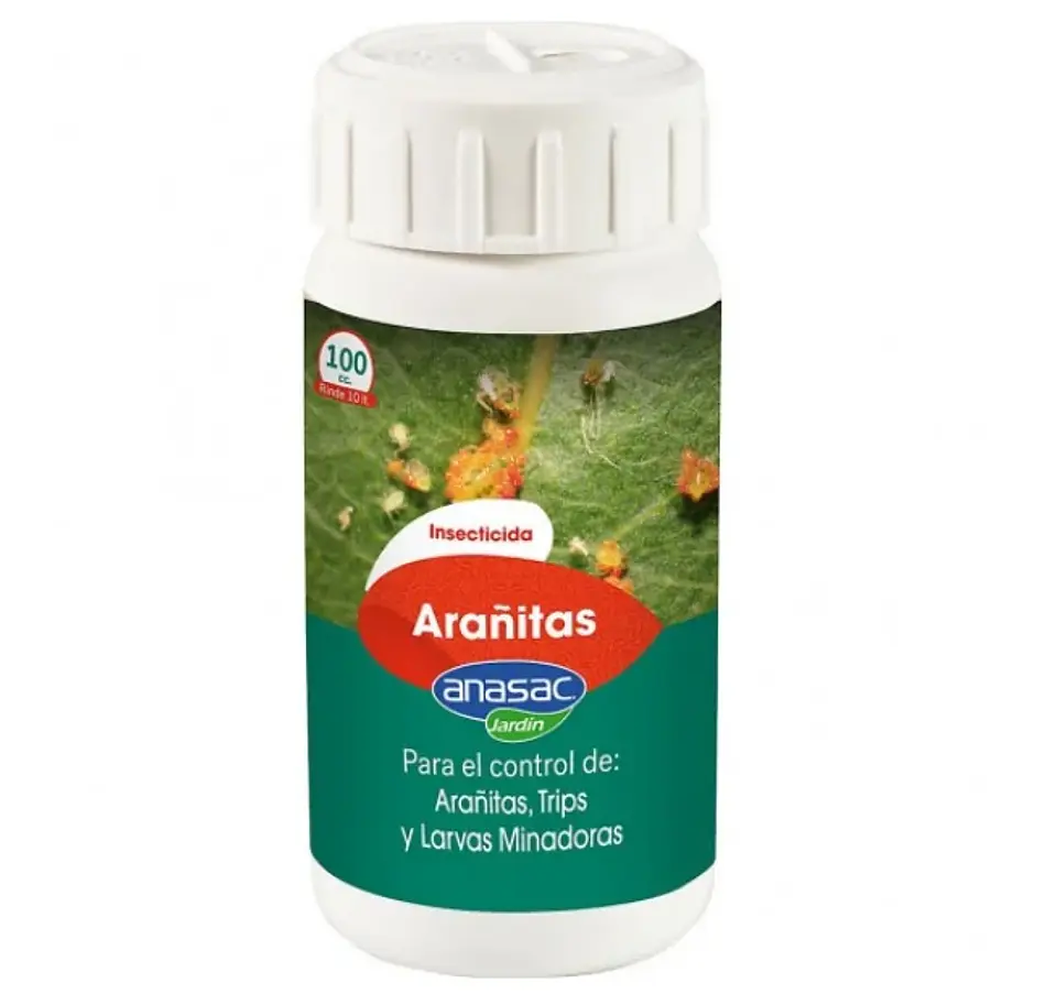 Arañitas Green Line -Anasac 2