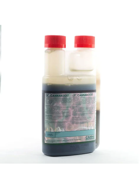 Boost Accelerator -Canna 3