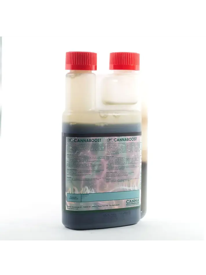 Boost Accelerator -Canna 3
