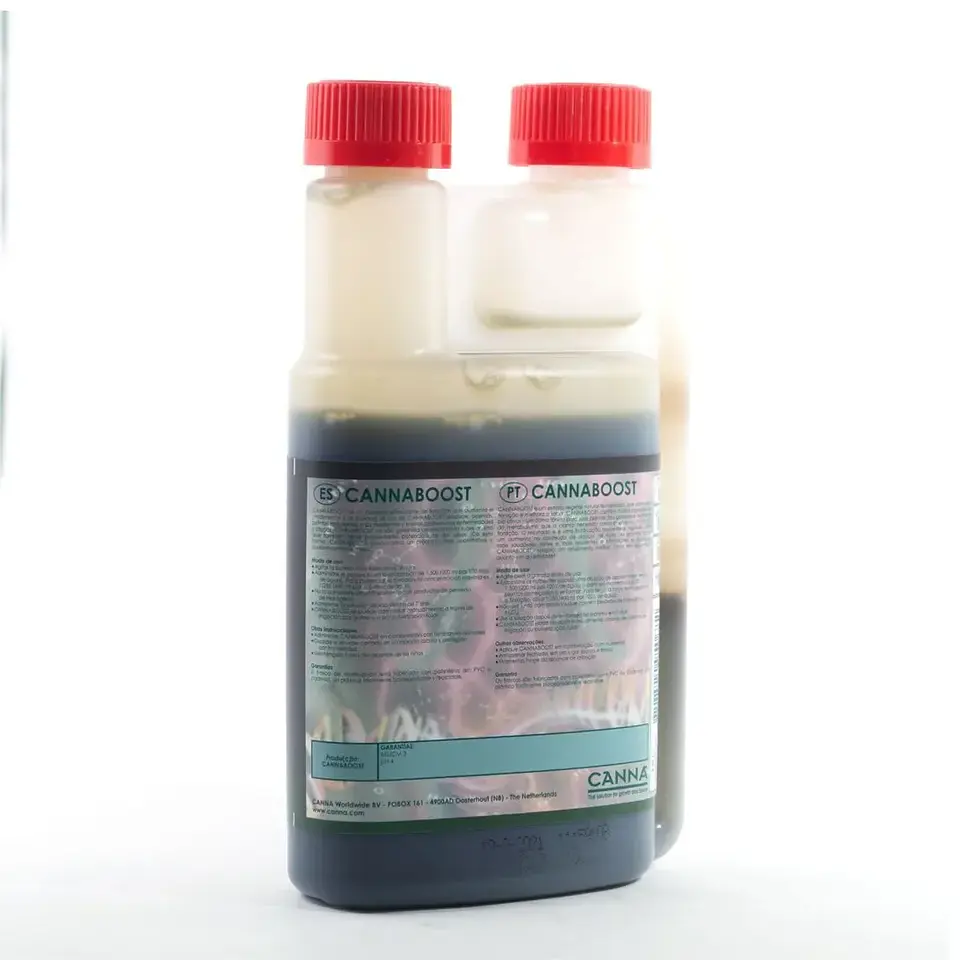 Boost Accelerator -Canna 3