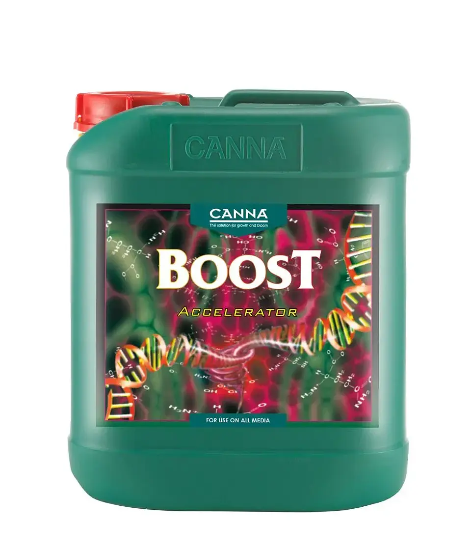 Boost Accelerator -Canna 4