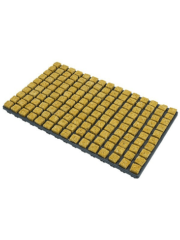 6 BANDEJAS DE 150 ALVEOLOS C/U CON LANA DE ROCA 1