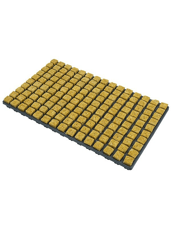 6 BANDEJAS DE 150 ALVEOLOS C/U CON LANA DE ROCA 1