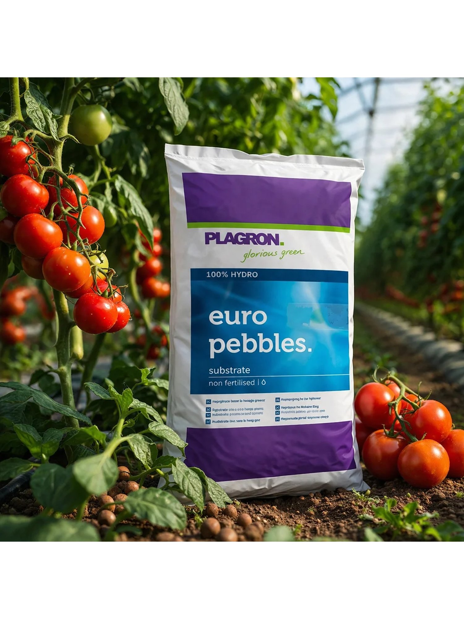 Plagron Euro Pebbles 10L Sustrato Hidropónico 2