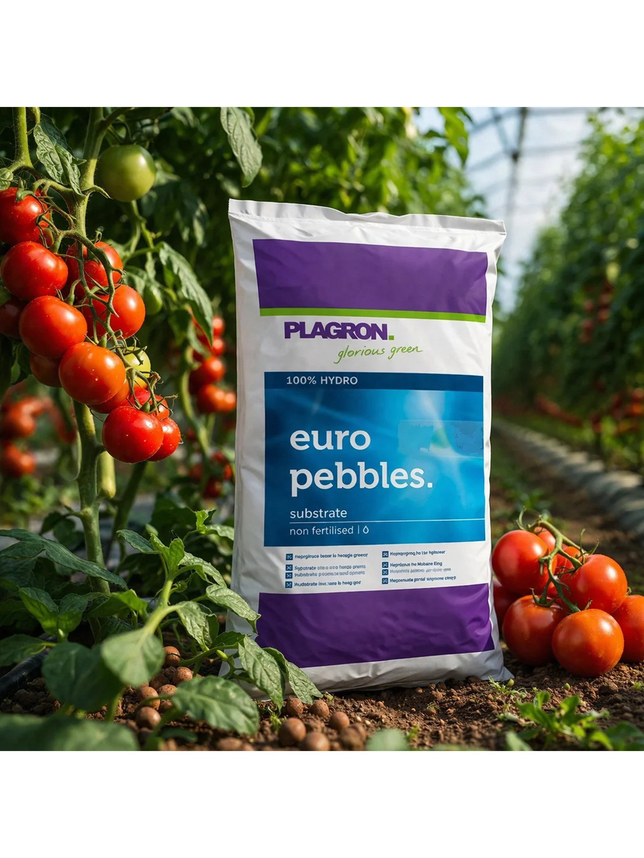 Plagron Euro Pebbles 10L Sustrato Hidropónico 2