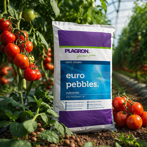 Plagron Euro Pebbles 10L Sustrato Hidropónico