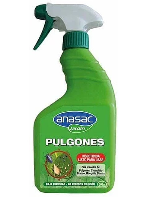 Pulgones Lpu-Anasac 1