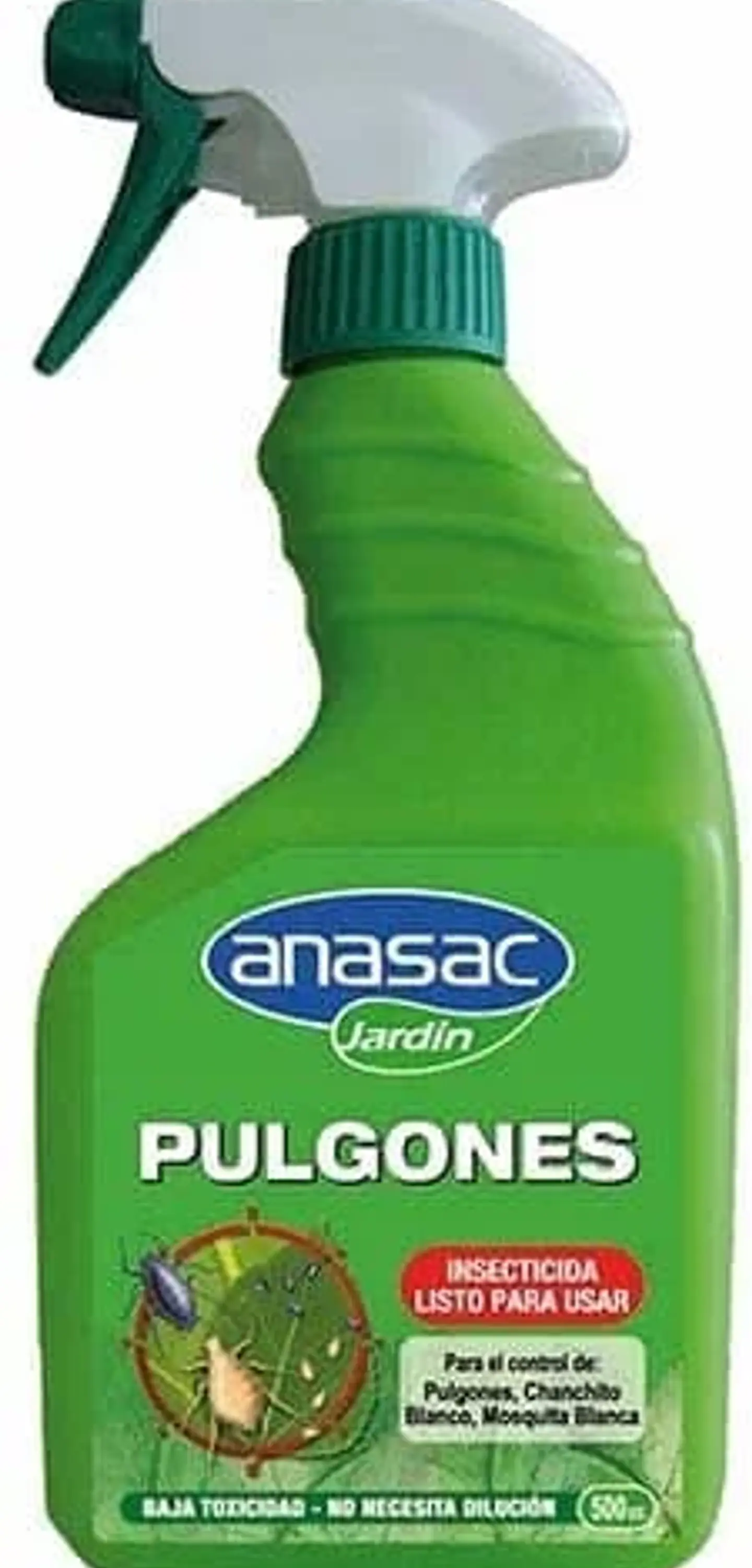 Pulgones Lpu-Anasac 1