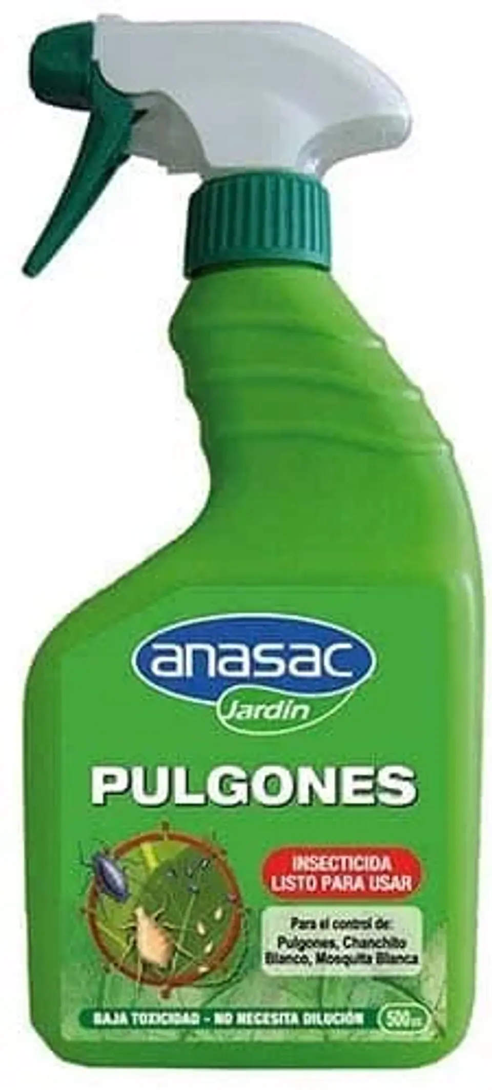 Pulgones Lpu-Anasac 1