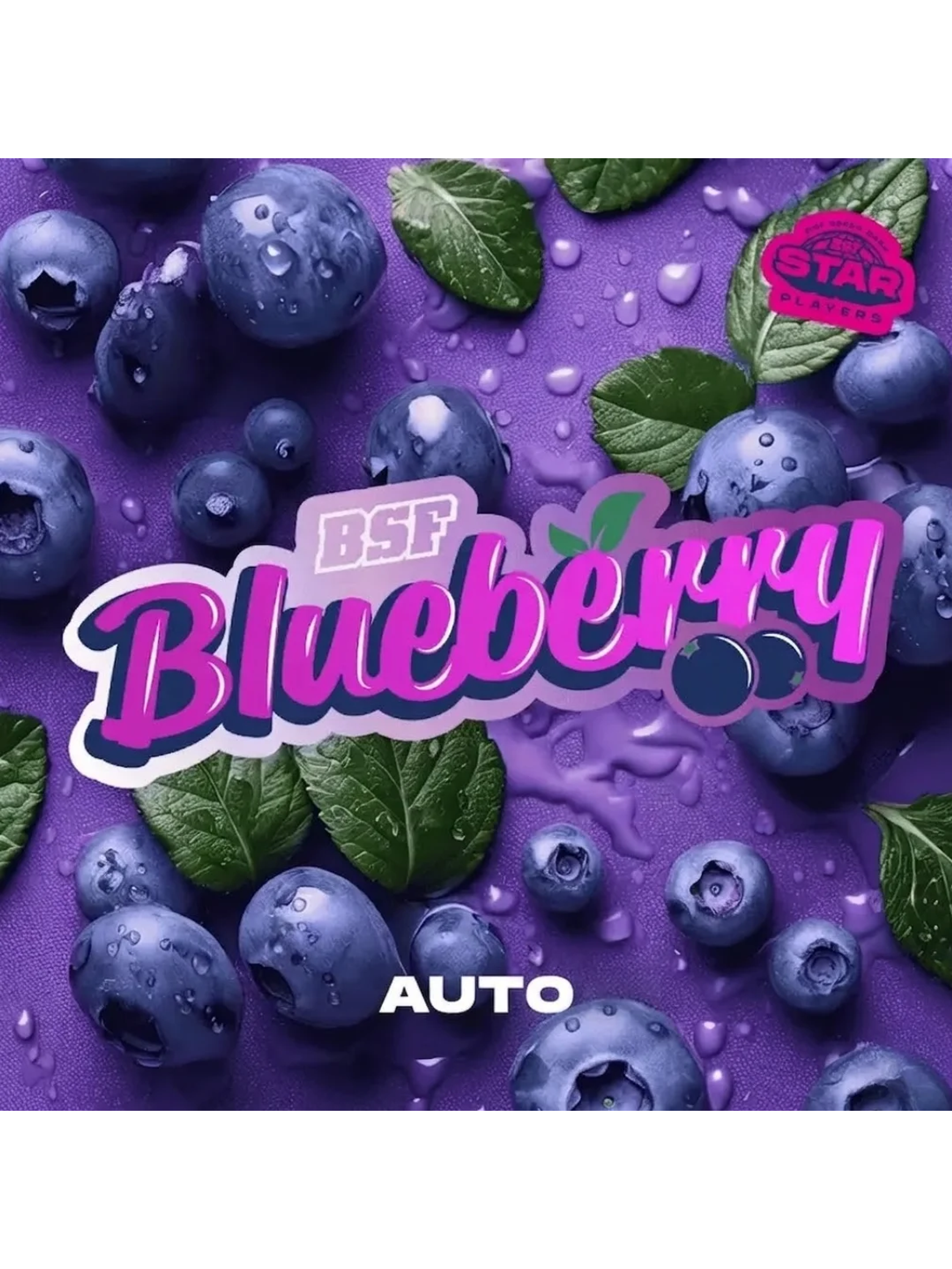 BLUE BERRY AUTO X100 -BSF 2