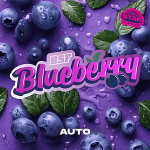 BLUE BERRY AUTO X100 -BSF