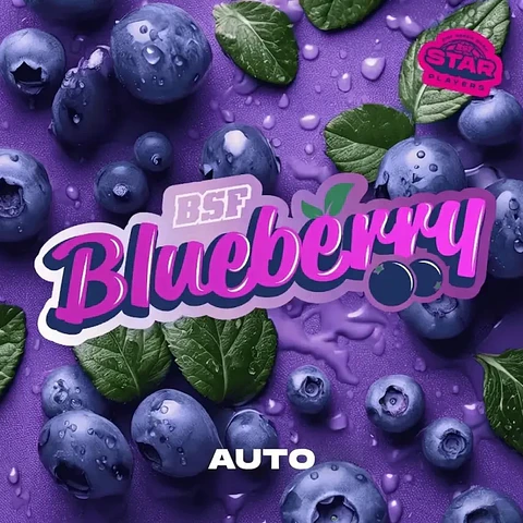 BLUE BERRY AUTO X100 -BSF