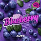 BLUE BERRY AUTO X100 -BSF - Miniatura 2