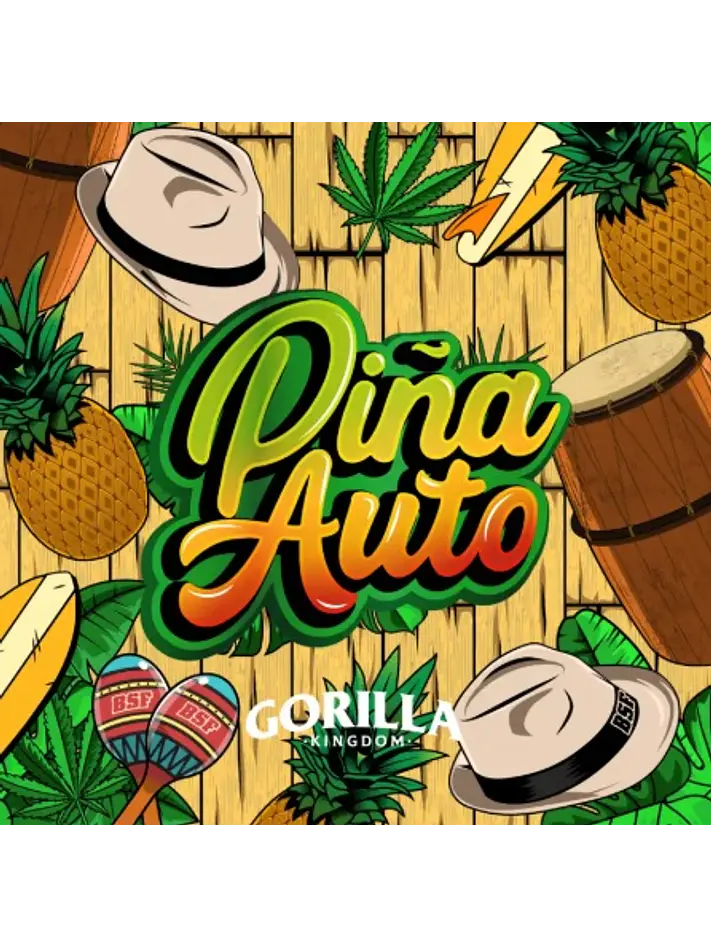 GORILLA PIÑA AUTO X100-BSF 2