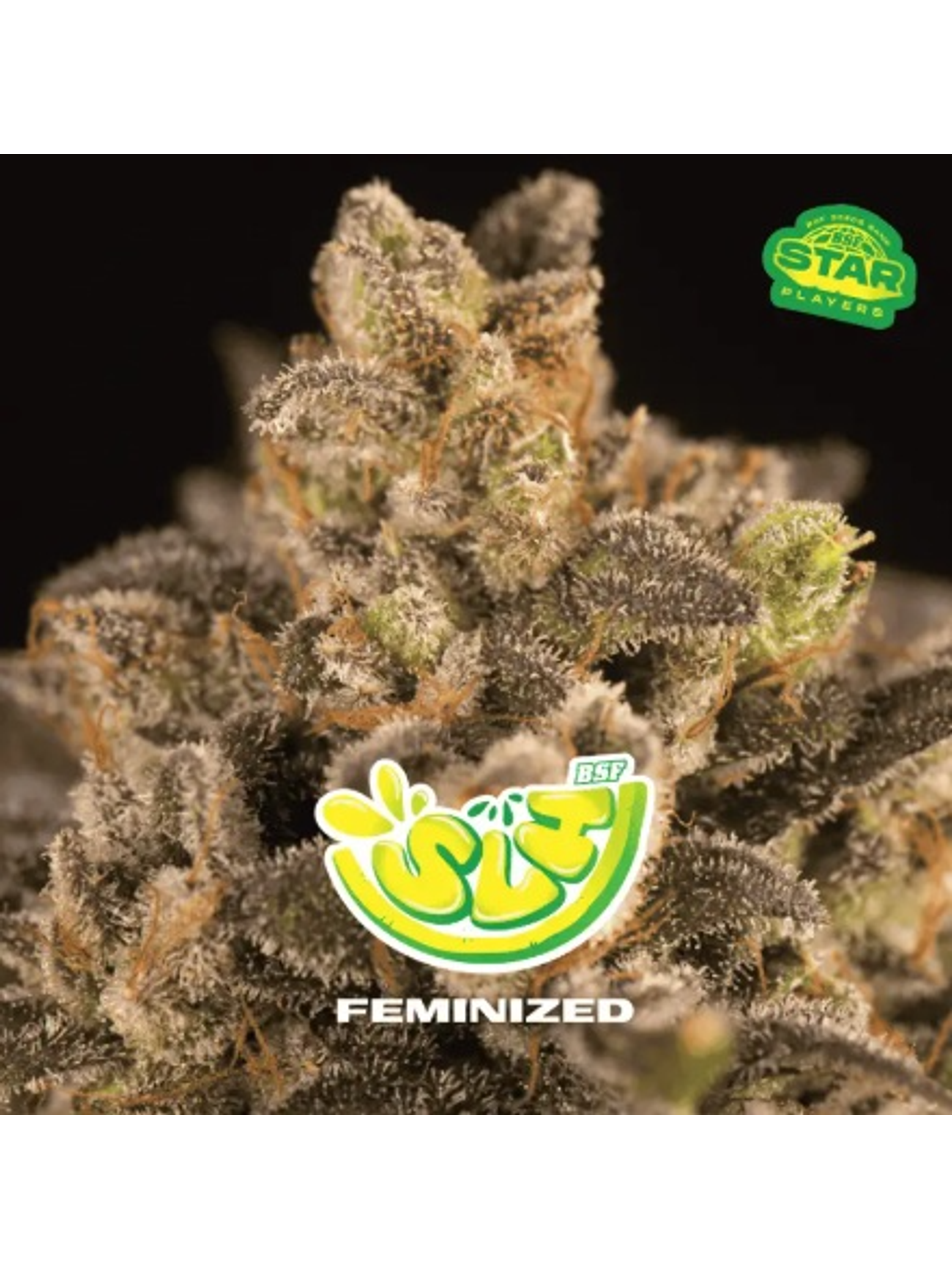 SUPER LEMON HAZE FEM X100 -BSF 1