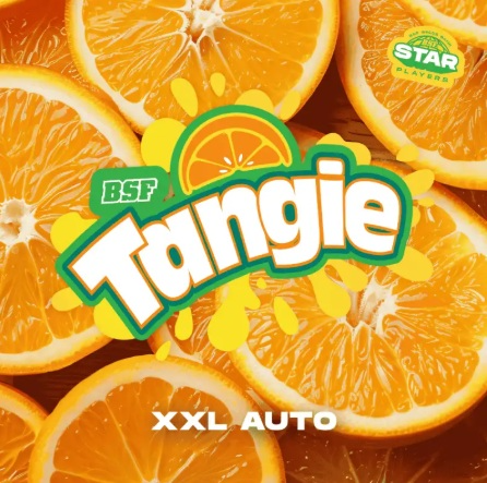 TANGIE XXL  AUTO X100-BSF 2