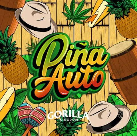 GORILLA PIÑA FEM X100-BSF