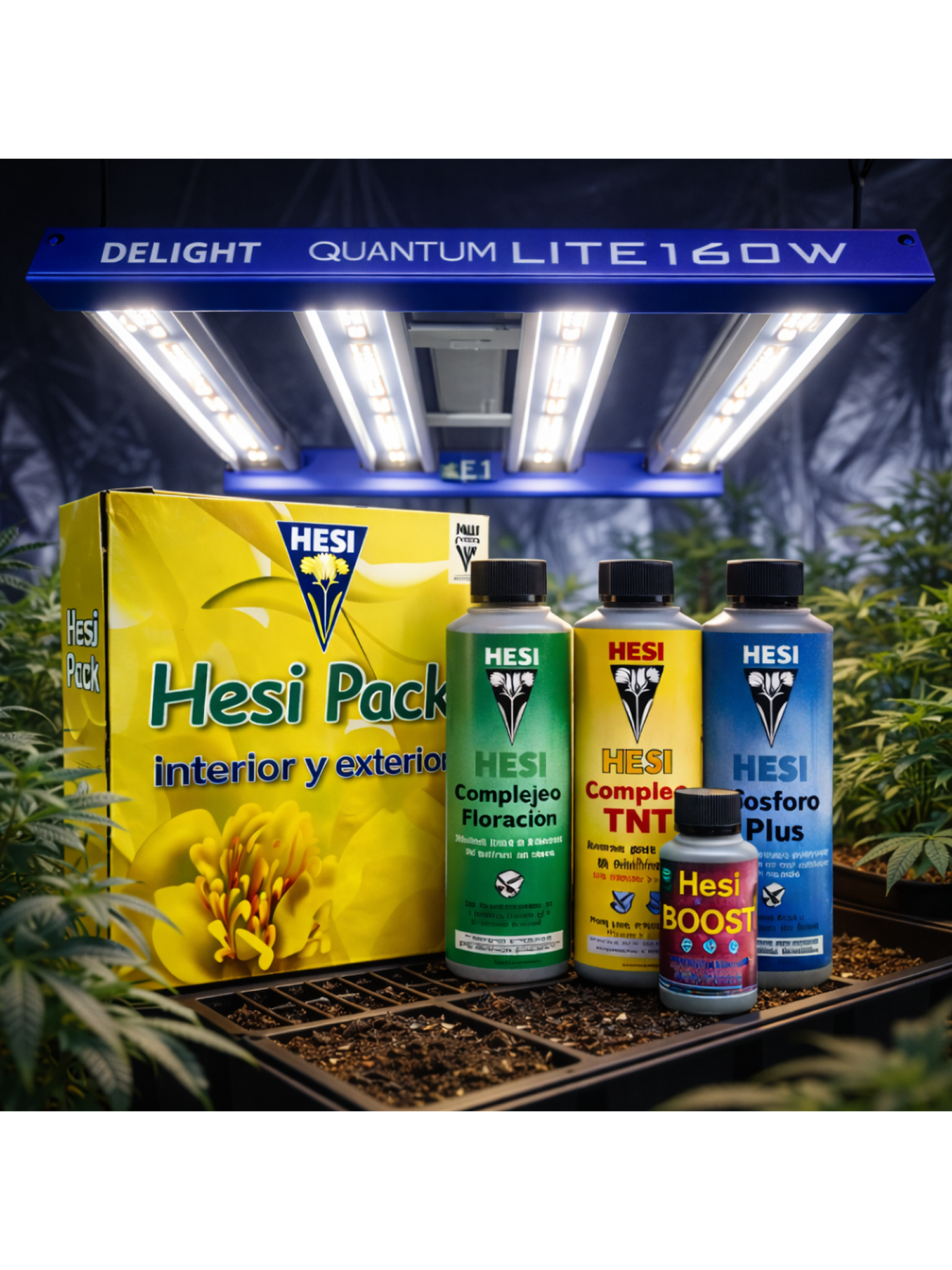 Pack Interior/Exterior 850Ml- Hesi 2