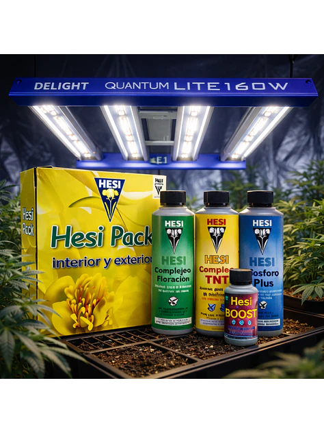 Pack Interior/Exterior 850Ml- Hesi 2