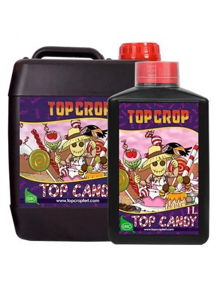 Top Candy -Top Crop 4