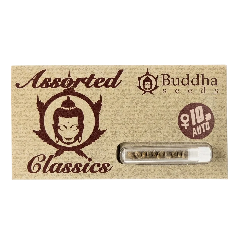 Assorted Classics Auto X10-Buddha Seeds 1