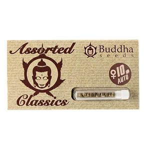 Assorted Classics Auto X10-Buddha Seeds