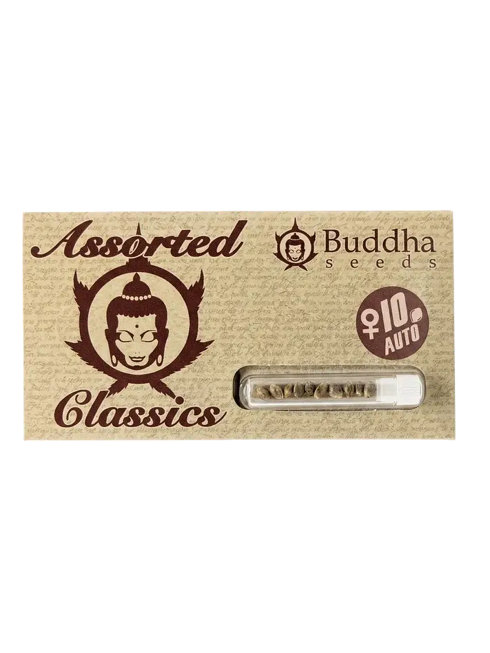 Assorted Classics Auto X10-Buddha Seeds 1
