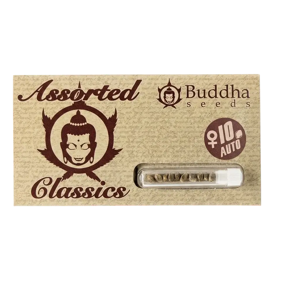 Assorted Classics Auto X10-Buddha Seeds 1