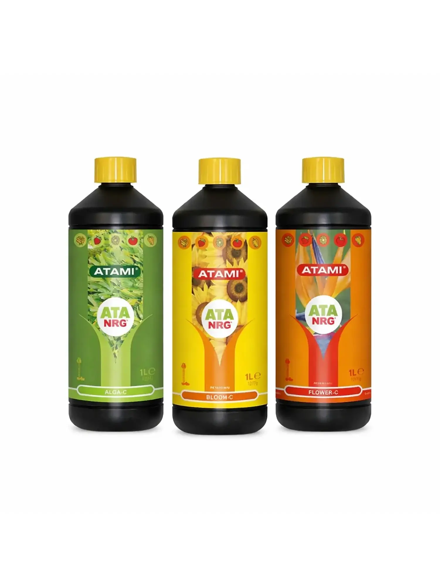 ATA NRG Triangle Pack 750ml- Atami 3