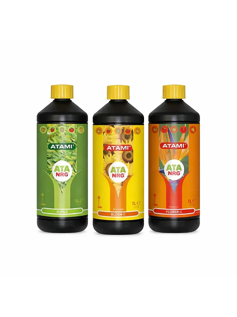 ATA NRG Triangle Pack 750ml- Atami 3
