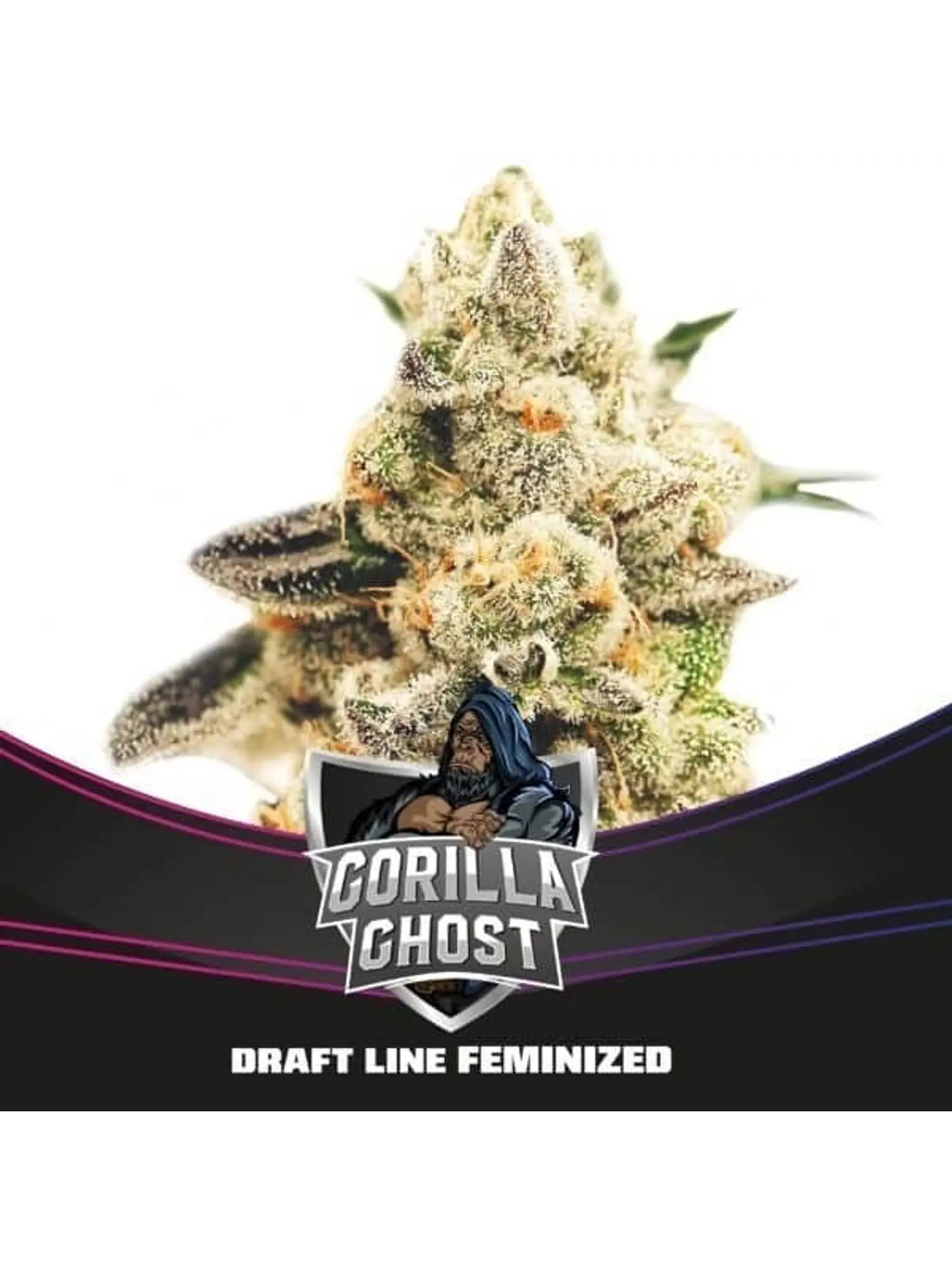 GORILLA GHOST GK FEM X2-BSF 1