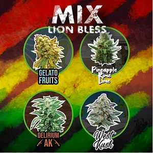 MIX LION BLESS AUTO X8- Delirium Seeds