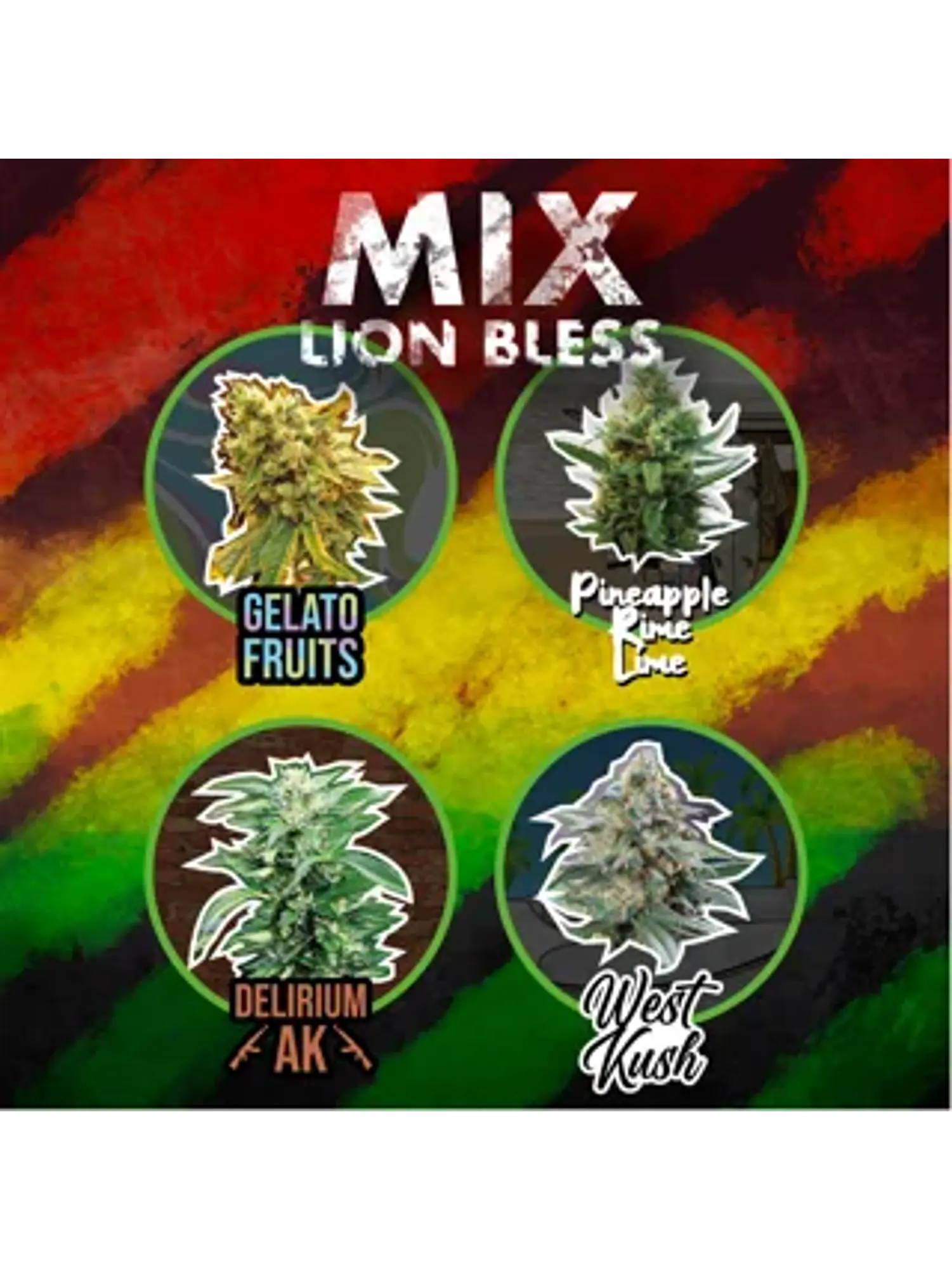 MIX LION BLESS FEM X4- Delirium Seeds 1