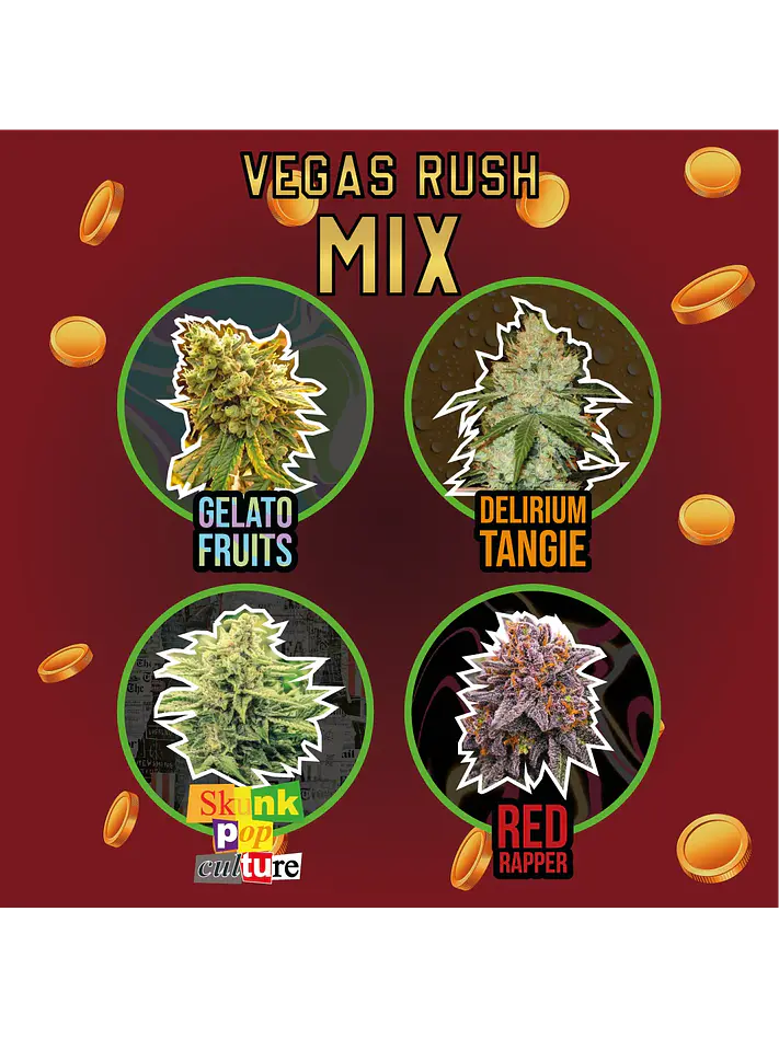 MIX VEGAS RUSH FEM X4- Delirium Seeds 1