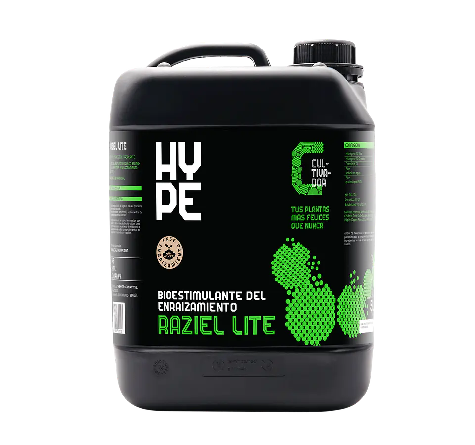 Raziel Lite -Hype 5