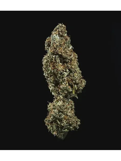 Fat Banana Usa Premium Auto  -Royal Queen Seeds (X1/X3) 4