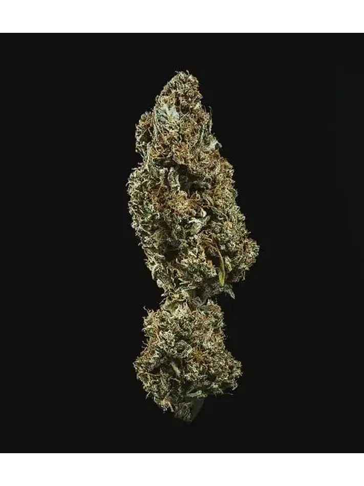 Fat Banana Usa Premium Auto  -Royal Queen Seeds (X1/X3) 4