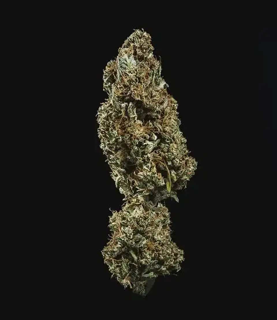 Fat Banana USA Premium Auto (X1 / X3 / X10) -Royal Queen Seeds 4