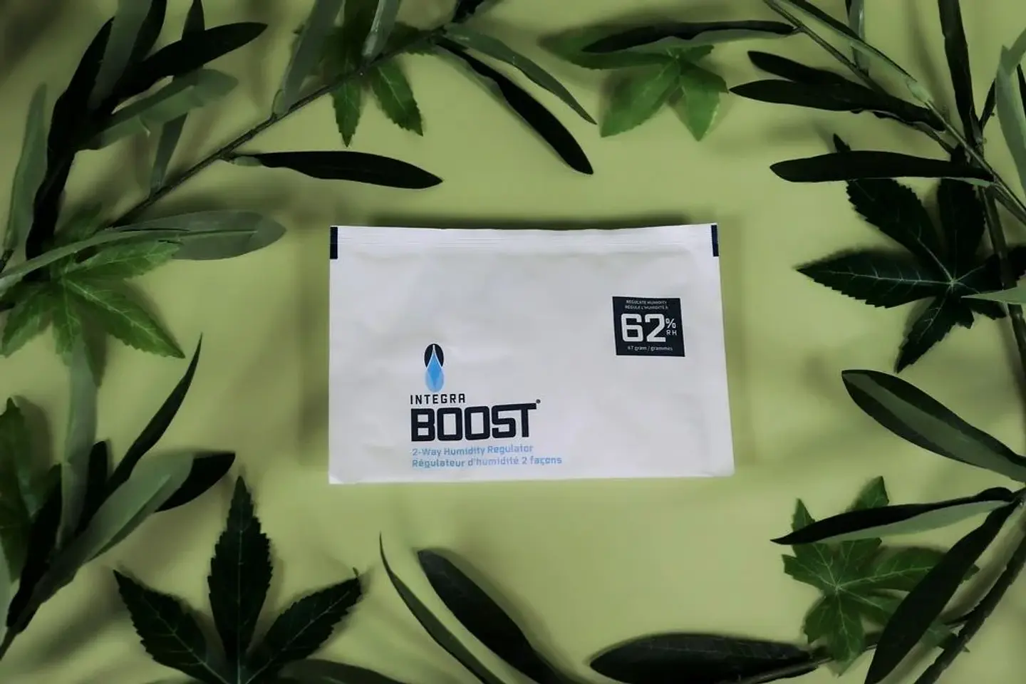 Regulador De Humedad 67G -Integra Boost 8